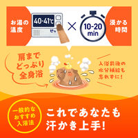 入浴剤 薬用 粉末 バスロマン ホットヴィヒタの香り 600g 発汗 1セット（1個×2） 湯色 色付き透明タイプ アース製薬