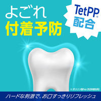 【アウトレット】【旧品】マウスウォッシュ 洗口液 口臭 モンダミン ストロングミント 1080mL 歯垢 汚れ 食後 タバコ ネバつき アース製薬