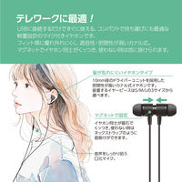 ナカバヤシ USBイヤホンマイク 軽量タイプ ブラック UHP-08BK 1個