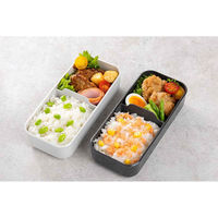 岩崎工業 弁当箱 600ml 1段 イージーケアランチボックススリム1段600 ダークグレー 473580 1個（直送品）