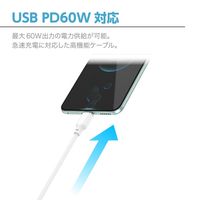 センチュリー PD60W対応TypeーCケーブル1.2m CC-JD60W12WH Type-CtoC Cable 1_2m 1個