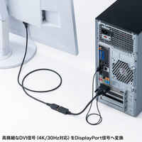 サンワサプライ  DVI-DisplayPort変換アダプタ（4K/30Hz） AD-DVDP01（直送品）