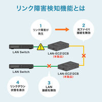 サンワサプライ  光メディアコンバータ（ギガビット対応・ブリッジ・マルチモード） LAN-EC212CB（直送品）