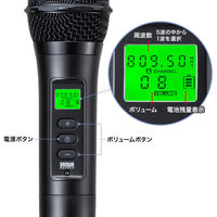 サンワサプライ  ワイヤレスマイク（MM-SPAMP21用・Bタイプ） MM-SPHMW7B（直送品）