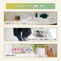 インスタントハブラシ バイオマス 1箱（20本）キャリン