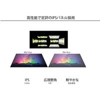 JAPANNEXT 43インチ ワイド 4K液晶モニター HDR対応 JNーIPS4302UHDR 1台