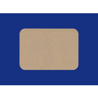 ロキソニンEXテープ 21枚 第一三共ヘルスケア 貼り薬 痛み止め ロキソプロフェン 肩・背中・腰のつらい痛み【第2類医薬品】