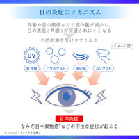 マイティアアイテクト 15mL 第一三共ヘルスケア 目のかゆみ 異物感 結膜充血 なみだ目 プラノプロフェン【第2類医薬品】