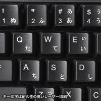サンワサプライ 日本語109キーボード　抗菌防水防塵タイプ SKB-BS6BK 1個