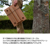 杉生 デタッチテーブル　ロータイプ DT-DT-L 1台（直送品）