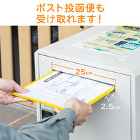 サンワサプライ 宅配ボックス(置き配・大容量・50リットル・カード式解錠) 300-DLBOX013 1台（直送品）