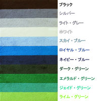 クリーンテックス・ジャパン 玄関マット 万能タイプ スタンダードマットS 45×75cm AM00573 1枚