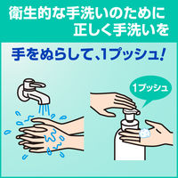 ソフティ薬用泡ハンドウォッシュ コンパクト 500ml 1箱（6個入） 花王