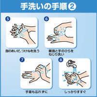 ソフティEX-CAREコンパクト泡ハンドウォッシュ 本体500mL 1箱（6個入）泡ハンドソープ 花王