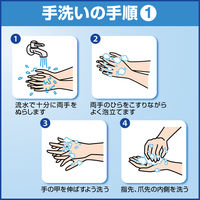 ソフティ薬用泡ハンドウォッシュ クイック＆クリア 本体500mL 1箱（6個入） 泡ハンドソープ 花王