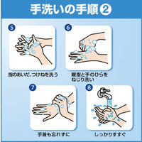 ソフティEX-CARE泡ハンドウォッシュ 本体500mL1箱（6個入）泡ハンドソープ 花王