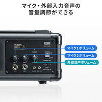 拡声器　メガホン　スピーカーマイク　ハンドマイク型　MM-SPAMPN　サンワサプライ　1個（直送品）