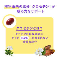 ナイトミン 眠る力 快眠サポートサプリ 約20日分（20粒入り） 1セット（2袋） 【小林製薬の機能性表示食品】