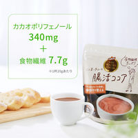 片岡物産 バンホーテンの腸活ココア 1セット（160g×3袋）