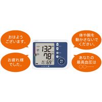 エー・アンド・デイ 上腕式血圧計 UA-1030T Plus 1台