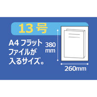 伊藤忠リーテイルリンク バイオマス10％ポリ袋(規格袋)ひも付 HDPE・半透明 0.01mm厚 13号 1箱（2500枚）