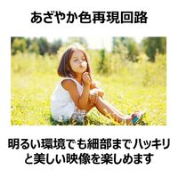 パナソニック 地上・BS・110度CSデジタルハイビジョン液晶テレビ 32インチ TH-32J300 1台