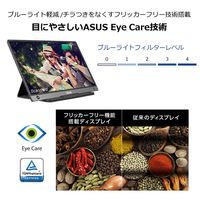 ASUS 15.6インチ モバイルモニタ- MB16AH 1台