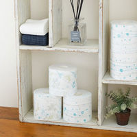 トイレットペーパー1.5倍巻き 8ロール ダブル　Hanataba ボタニカルシャワー 1箱（8個入×8パック）丸富製紙株式会社