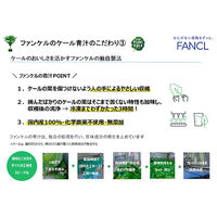 ファンケル [冷凍] 搾りたてケール青汁 7袋 (100g×7袋)×6箱 4908049260477 1セット(700g×6箱)（直送品）