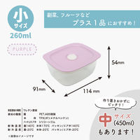 推せる保存容器・小 260ml 電子レンジ対応 パープル 1個 台和