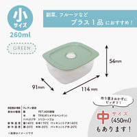 推せる保存容器・小 260ml 電子レンジ対応 グリーン 1個 台和