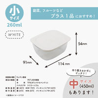 推せる保存容器・小 260ml 電子レンジ対応 ホワイト 1個 台和