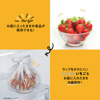プラスプラス 手提げキッチンポリ袋 取っ手付 半透明 Ｌ マチ付 1セット（1パック（100枚入）×5）オルディ