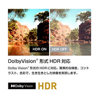 ドウシシャ SMART TV シリーズ 4K 55V型液晶テレビ OLS55RD10 1台