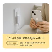オウルテック 薄さ13mm 最大PD20W出力 GaN採用 AC充電器 OEC-APD20A1C1G-BK 1個