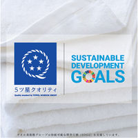 タオルランドリー ふっくらボリューム バスタオル ベージュ 23-3033350-BE 1枚 日本製 乾燥機使用可 タオル美術館