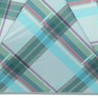 晴雨兼用 ビッグタータンチェックミニ傘 グリーン studio CLIP