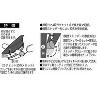 セーブ・インダストリー スムーズ剪定鋏 4段ラチェット式 SV-6773 1個（直送品）