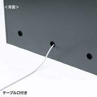 サンワサプライ 縦型パーソナルロッカー3列タイプ PLK-TWT3H120LM 1台（直送品）