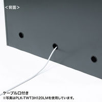 サンワサプライ 縦型パーソナルロッカー4列タイプ PLK-TWT4H120LM 1台（直送品）