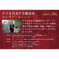 サンタ・リタ 120 カベルネ・ソーヴィニヨン 750ml チリ 赤 ミディアムボディ  赤ワイン