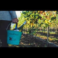 チリ　セフィーロ カベルネ ソーヴィニヨン  赤ワイン　フルボディ　750ml　1本　日本酒類販売