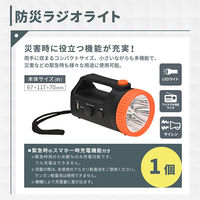 A4 防災セット 基本内容ボックス1プラス ブルー 非常用持ち出し袋 防災グッズ 1人用 非常食 おにぎり A4K1P EVERSAFE（直送品）
