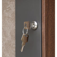 MOJYU ベルタ 壁掛けポスト ダークグレー/ブラウン木目 1台（直送品）