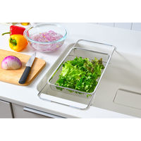 オークス 水切りかご 水切り メッシュかご レギュラー leye レイエ 491108 1個（直送品）