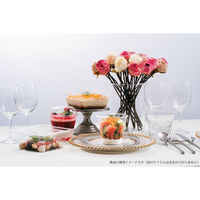 リスパック 透明カップ バイオ キラリス 101パイ390B エッジ PRTP011 1袋(25個)（直送品）