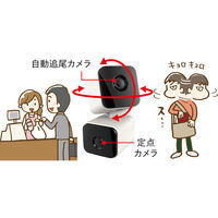 キャロットシステムズ Wi-Fiカメラ屋内用 ダブルカメラ首振り AT-752 1台（直送品）