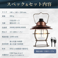 A-0007-Brown（直送品）