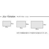 イケヒコ・コーポレーション ネム 玄関マット BE 50×80cm 1311320000000 1枚