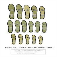 イケヒコ・コーポレーション い草インソール NV 21cm 1120290190412 1セット（直送品）